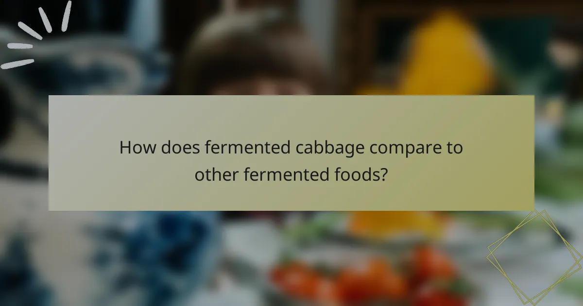 How does fermented cabbage compare to other fermented foods?
