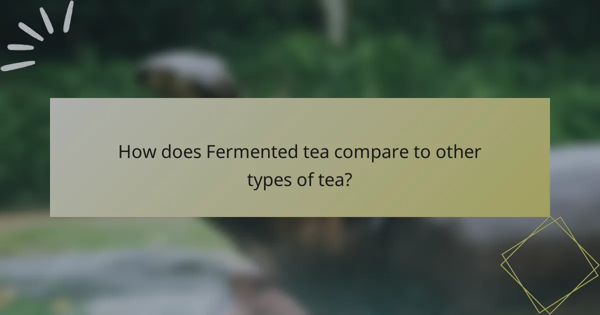 How does Fermented tea compare to other types of tea?