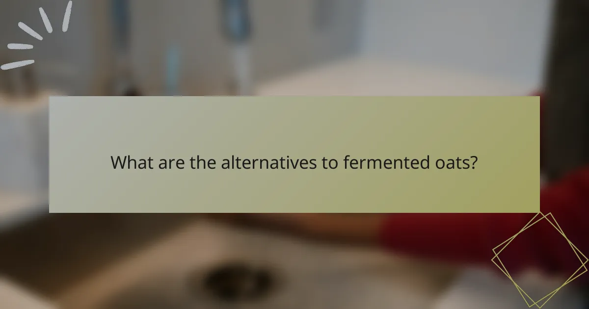 What are the alternatives to fermented oats?