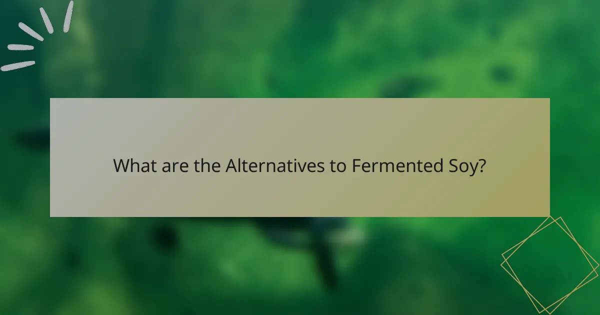 What are the Alternatives to Fermented Soy?