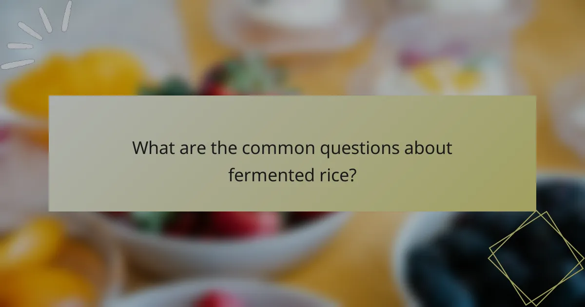 What are the common questions about fermented rice?