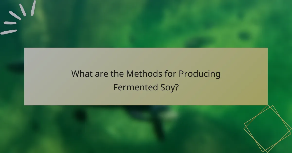 What are the Methods for Producing Fermented Soy?