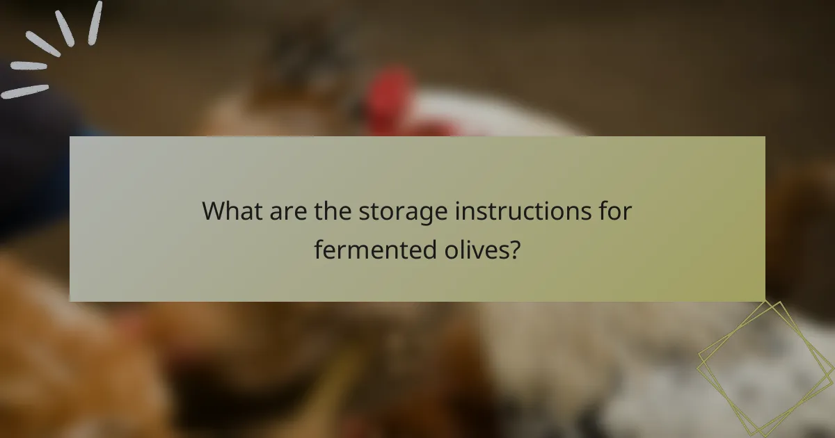 What are the storage instructions for fermented olives?