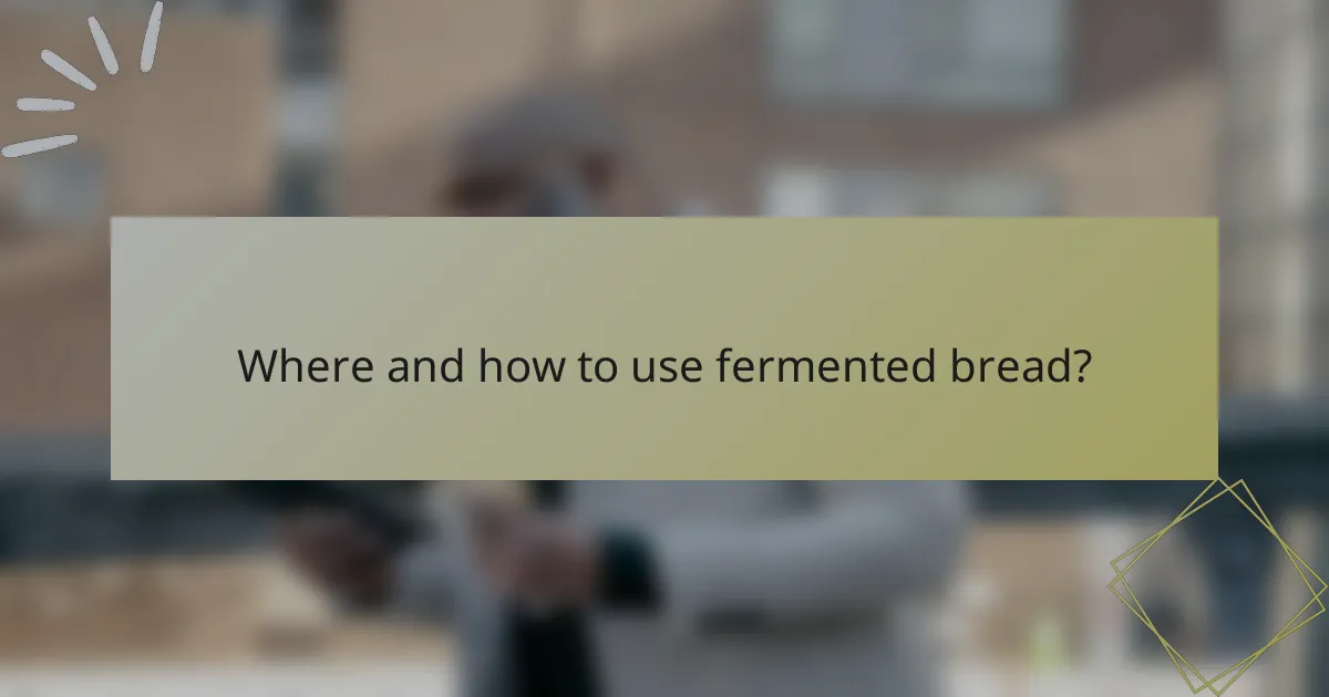 Where and how to use fermented bread?