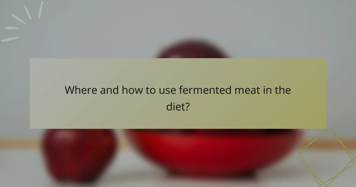 Where and how to use fermented meat in the diet?