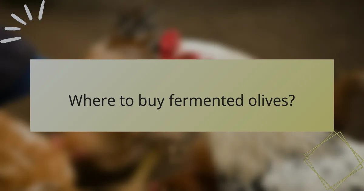 Where to buy fermented olives?